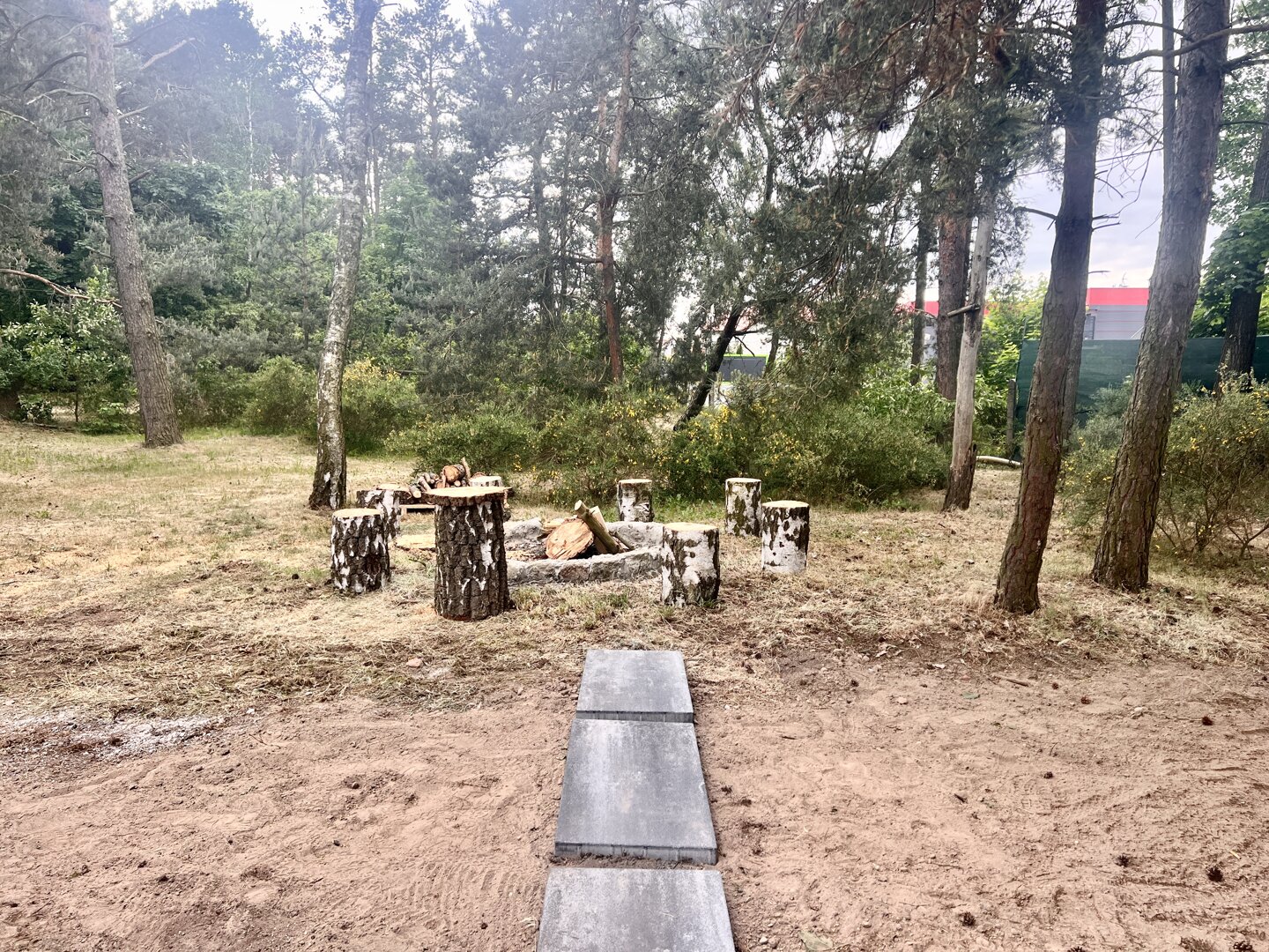 ATCC SPÓŁKA Z OGRANICZONĄ ODPOWIEDZIALNO - 12